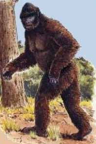 Mapinguari Mapinguari