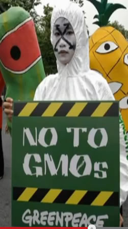 Greenpeace Greenpeace