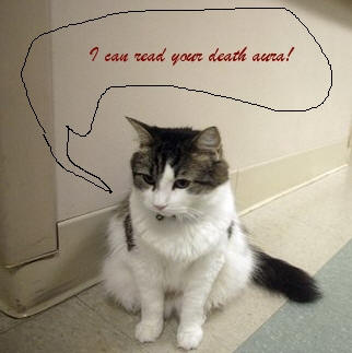 Oscar le chat médium