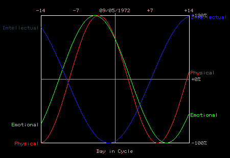 spitz.gif (5886 bytes)