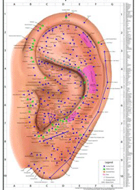 auriculothérapie