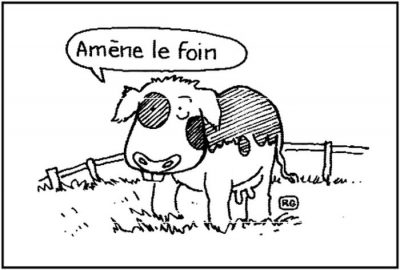 Une vache, dans son pré : « Amène le foin ! »