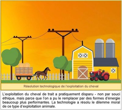 Résolution technologique de l’exploitation du cheval. L’exploitation du cheval de trait a pratiquement disparu — non par souci éthique, mais parce que l’on a pu le remplacer par des formes d’énergie beaucoup plus performantes. La technologie a résolu le dilemme moral de ce type d’exploitation animale.