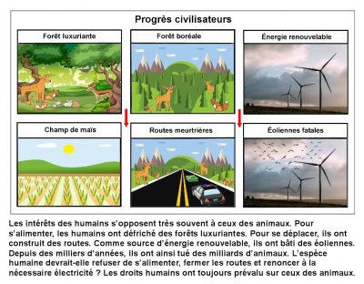 Progrès civilisateurs. Les intérêts des humains s’opposent très souvent à ceux des animaux. Pour s’alimenter, les humains ont défriché des forêts luxuriantes. Pour se déplacer, ils ont construit des routes. Comme source d’énergie renouvelable, ils ont bâti des éoliennes. Depuis des milliers d’années, ils ont ainsi tué des milliards d’animaux. L’espèce humaine devrait-elle refuser de s’alimenter, fermer les routes et renoncer à la nécessaire électricité ? Les droits humains ont toujours prévalu sur ceux des animaux.