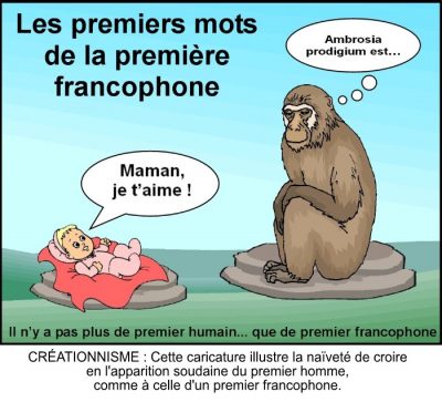 Les premiers mots de la première francophone : un bébé, à côté d’un grand singe : « Maman, je t’aime ! » Le singe pense : « Ambrosia prodigium est… » Il n’y a pas plus de premier humain… que de premier francophone. Créationnisme : cette caricature illustre la naïveté de croire en l’apparition soudaine du premier homme, comme à celle d’un premier francophone.