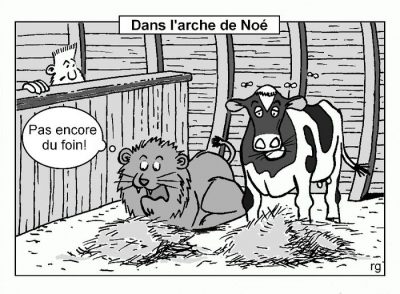Dans l’arche de Noé, un lion couché près d’une vache pense : « Pas encore du foin ! »