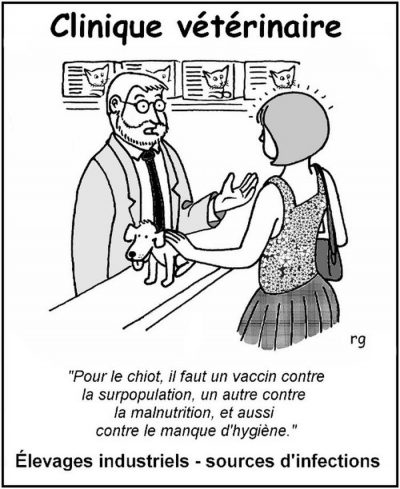 Clinique vétérinaire : le vétérinaire, à une cliente qui tient son chiot : « Pour le chiot, il faut un vaccin contre la surpopulation, un autre contre la malnutrition, et aussi contre le manque d’hygiène. » Élevages industriels – sources d’infections.