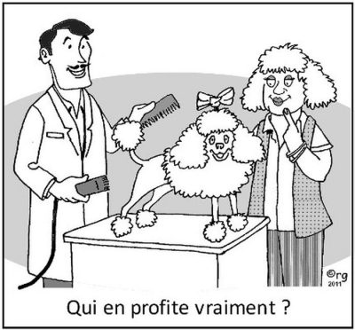 Chez le toiletteur, une cliente coiffée comme un caniche regarde son caniche se faire tondre. Qui en profite vraiment ?