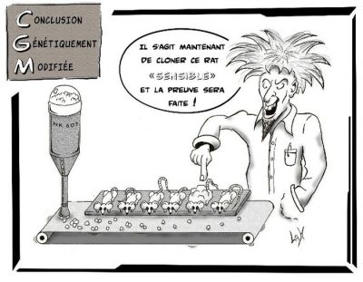 Conclusion génétiquement modifiée : un savant fou, devant des rats nourris au maïs NK 603 sur un tapis roulant : « Il s’agit maintenant de cloner ce rat “sensible” et la preuve sera faite ! »