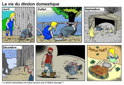 La vie du dindon domestique, en six cases : en avril puis en juillet, la fermière le nourrit ; septembre passe sous la pluie, décembre sous la neige ; un homme en chemise à carreaux s’approche et le dindon s’enfuit ; « Joyeux Noël ! », il est servi rôti. Le dindon domestique est-il plus heureux que le dindon sauvage ?