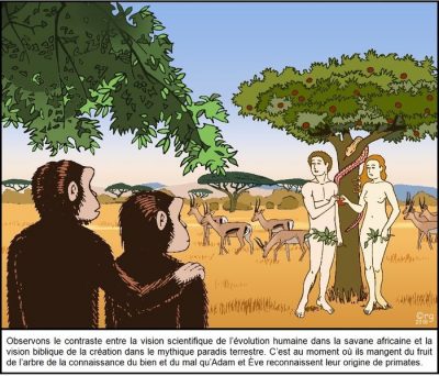 Deux chimpanzés observent, dans la savane africaine, Adam et Ève sous l’arbre au serpent. Observons le contraste entre la vision scientifique de l’évolution humaine dans la savane africaine et la vision biblique de la création dans le mythique paradis terrestre. C’est au moment où ils mangent du fruit de l’arbre de la connaissance du bien et du mal qu’Adam et Ève reconnaissent leur origine de primates.
